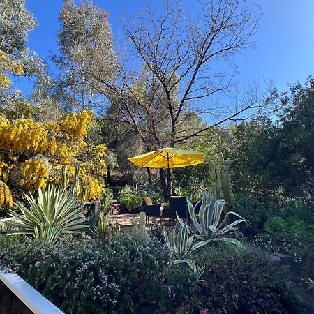 Villa La Reforma - Newly Designed 4Br House & Pool In Los Angeles By Topanga Zewnętrze zdjęcie