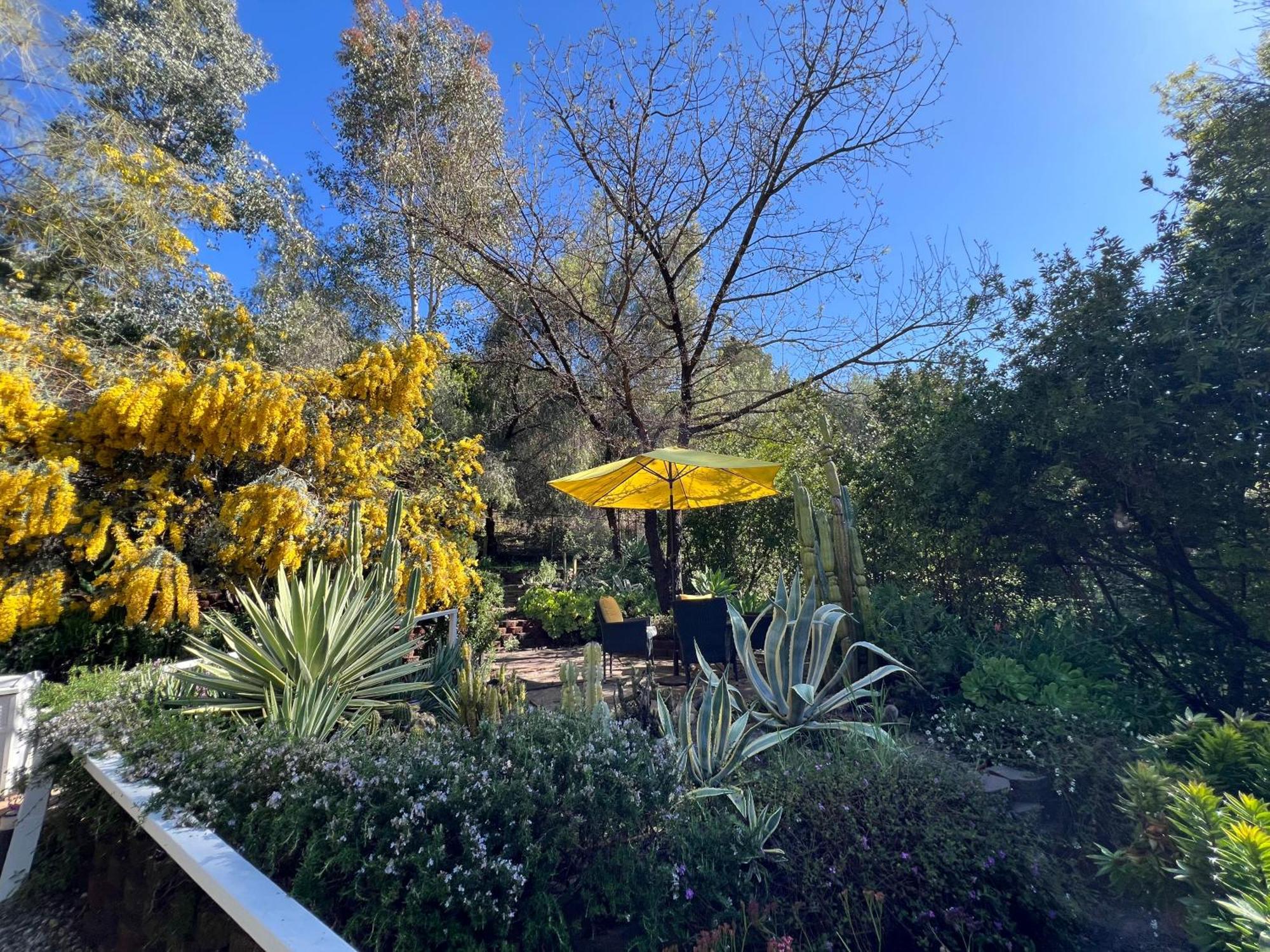 Villa La Reforma - Newly Designed 4Br House & Pool In Los Angeles By Topanga Zewnętrze zdjęcie